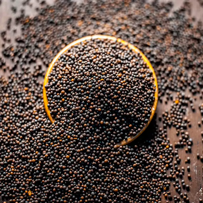 Black Mustard
